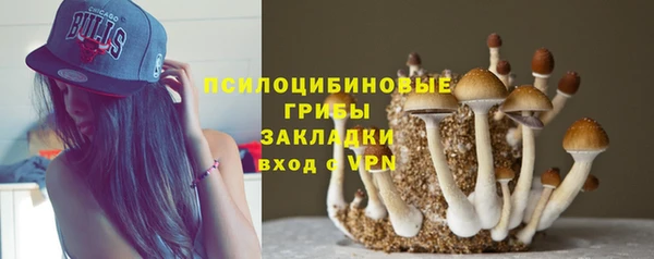 spice Новокубанск
