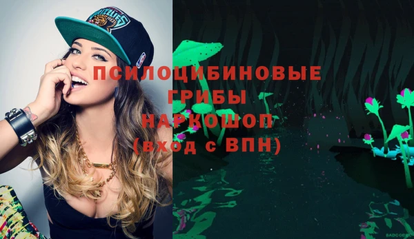 spice Нягань