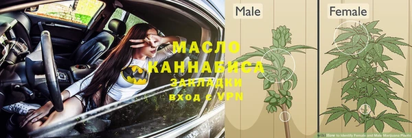 ГАЛЛЮЦИНОГЕННЫЕ ГРИБЫ Новозыбков