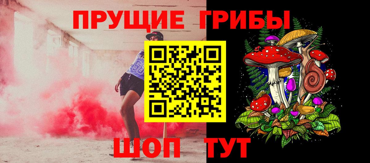 где найти наркотики  Муравленко  Псилоцибиновые грибы Psilocybine cubensis 