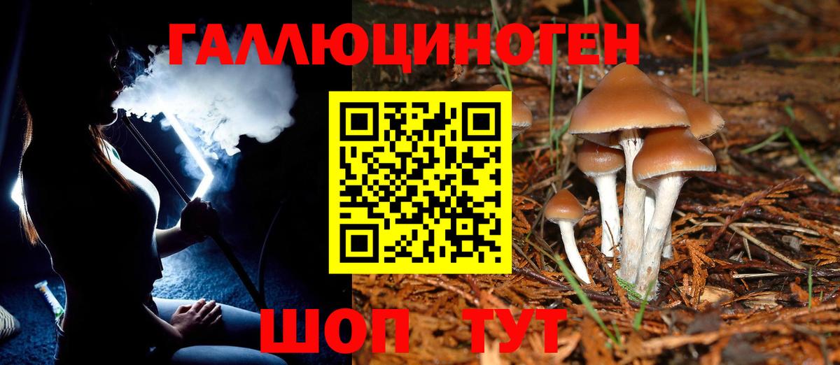 Псилоцибиновые грибы Psilocybe  Вход с VPN  Муравленко  Псилоцибиновые грибы GOLDEN TEACHER 