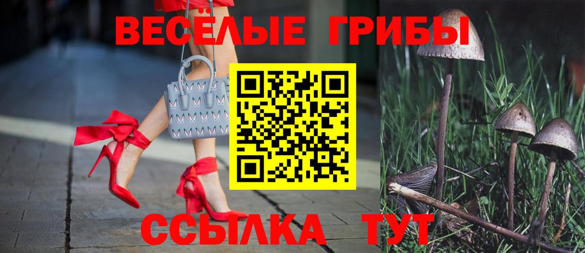 Псилоцибиновые грибы ЛСД  Муравленко 